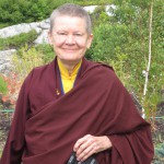 Letter from Ani Pema Chödrön