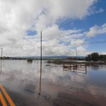 Sangha Mobilizing for Flood Recovery