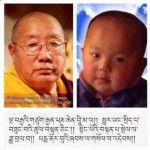 Penor Rinpoche's Reincarnation Discovered