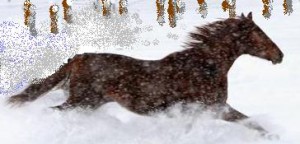 Horse in Snow