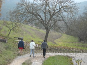 Running in France