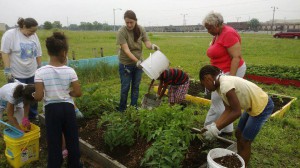 Unity Gardens Group