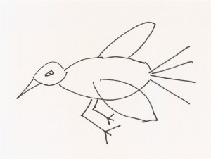bird drawing