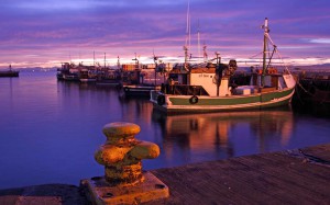 photo by Jennifer Woodhull - This harbor scene is just down the coast a little from where I live now in South Africa.