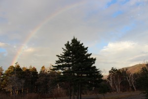 An auspicious rainbow appeared after the ordination ceremony