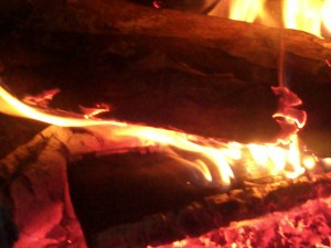 Wood Stove Fire