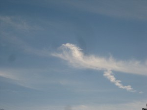 Dragon cloud