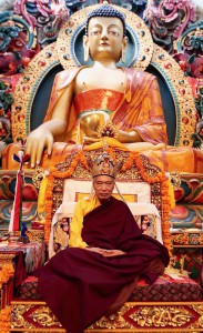 His Eminence Namkha Drimed Rinpoche