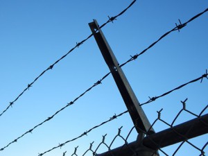 barbed-wire-482608__340