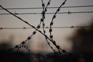 barbed-wire-765484__340