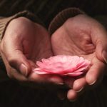 Meditation for Self-Love: Teachings, Videos, and Guided Meditation Script